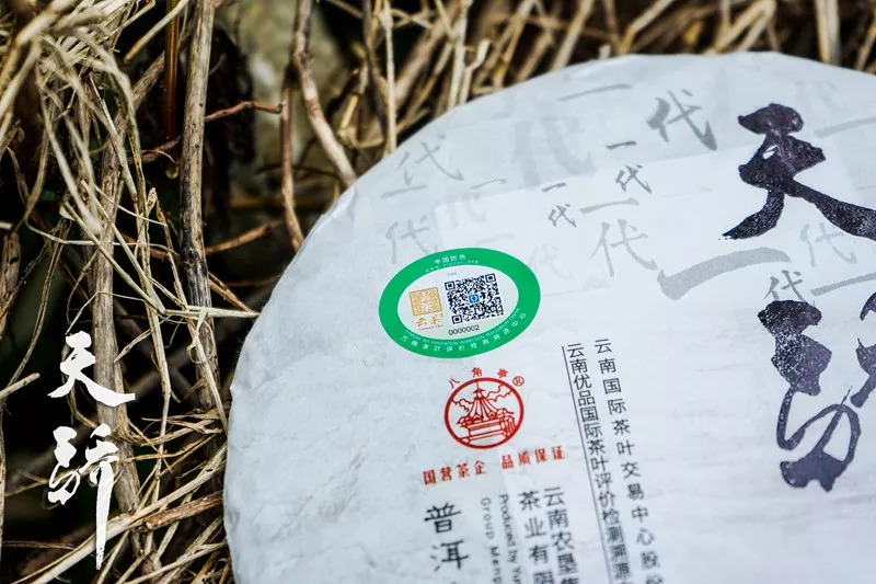 云茶天门山茶